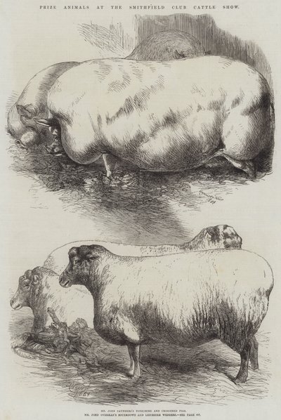 Animales premiados en la Exposición de Ganado del Club Smithfield de Harrison William Weir